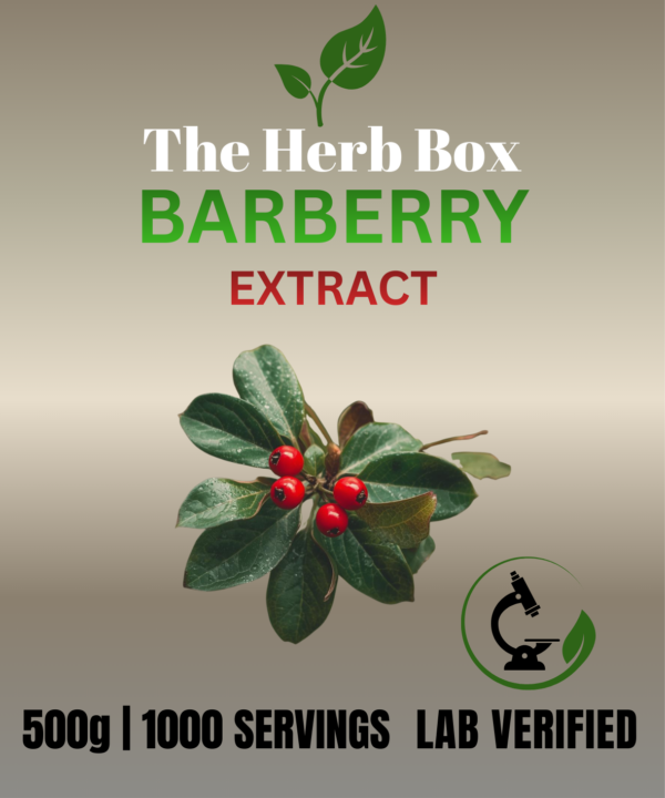 Barberry Barberry (Berberis vulgaris) Extract Powder