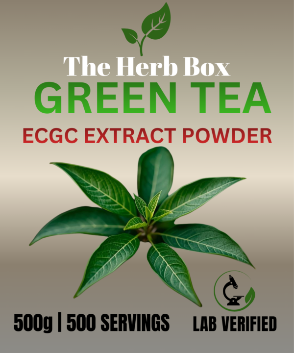 Premium Green Tea Extract Powder standardized to 95% EGCG.