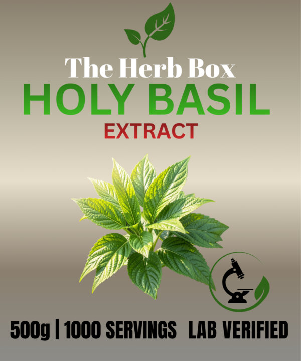 Holy Basil Extract Powder