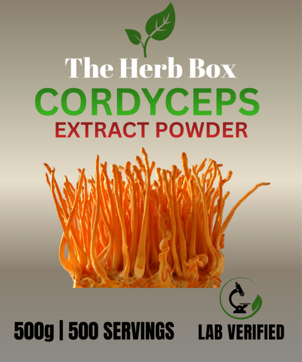 Cordyceps Extract powder