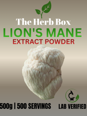 Lion’s Mane Extract Powder
