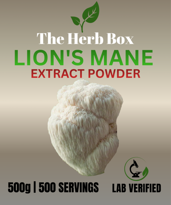 Lion’s Mane Extract Powder
