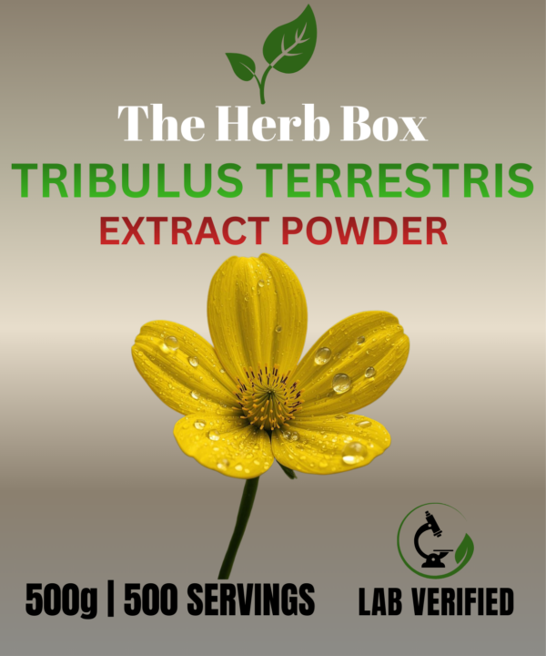 Tribulus Terrestris extract powder.
