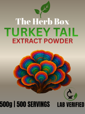 Turkey Tail Extract Powder
