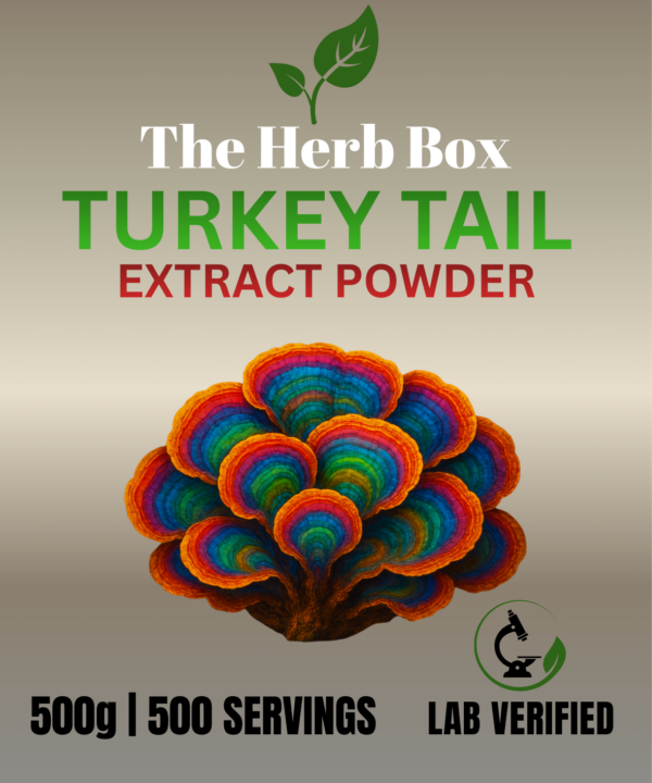 Turkey Tail Extract Powder