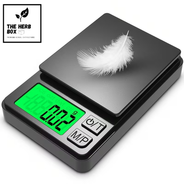 Precision Digital Scale